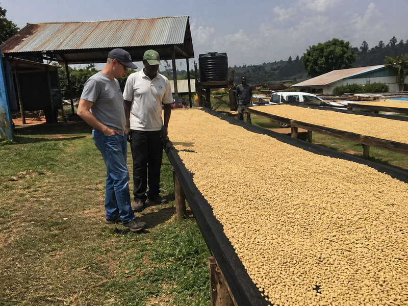 African Blend — Origin