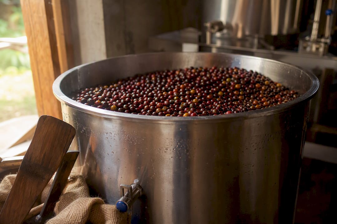 Sealed fermentation tank with coffee cherries