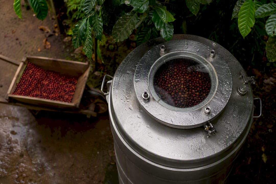Sealed fermentation tank with coffee cherries