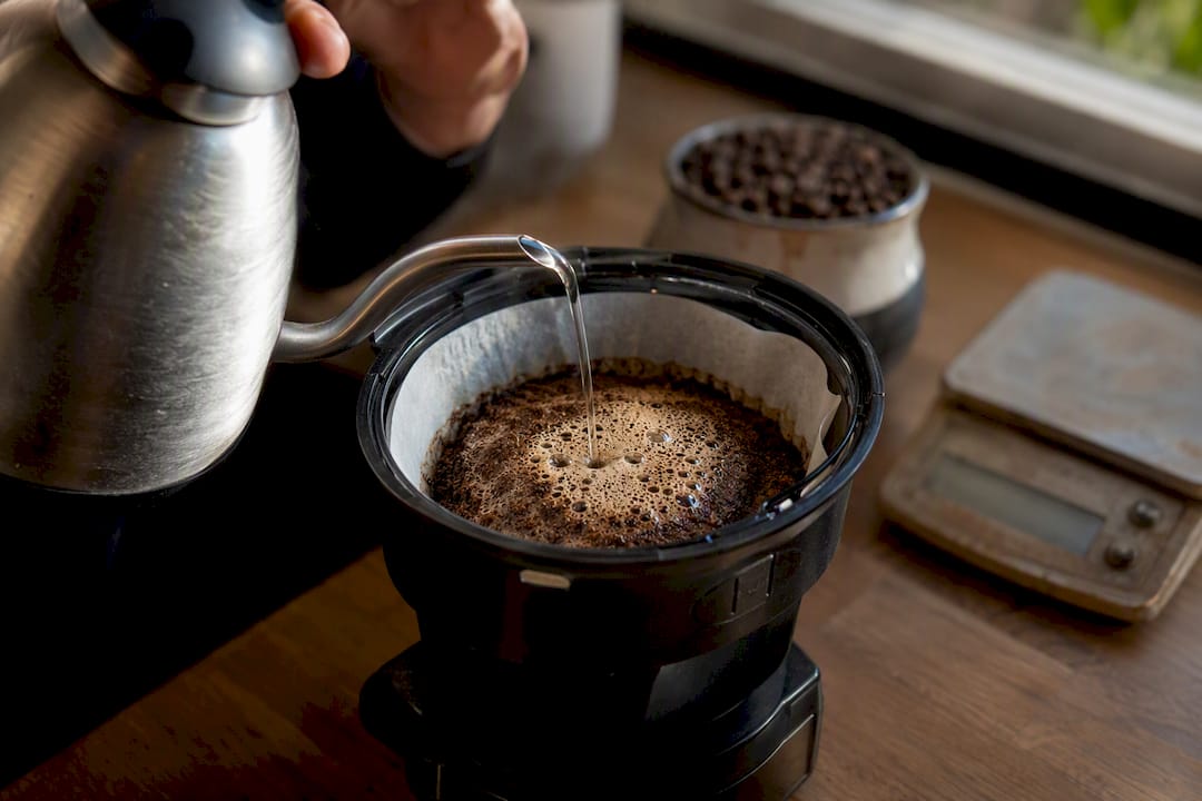 Hands blooming coffee grounds in Bonavita brewer