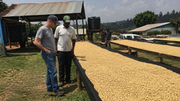 African Blend — image 3