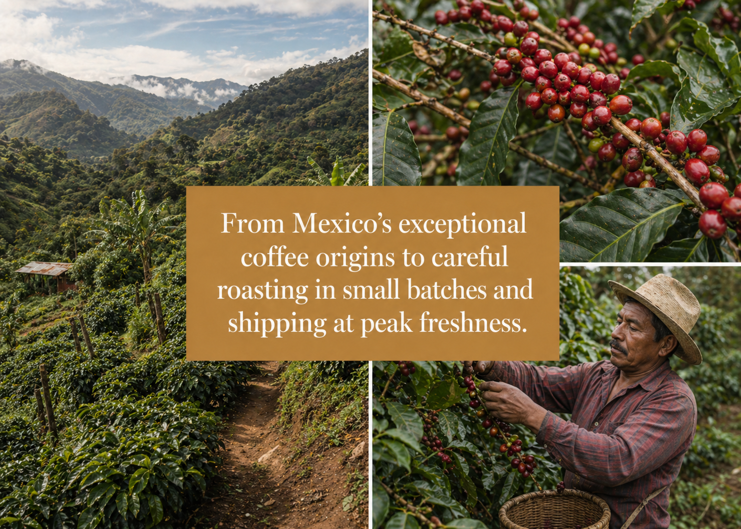 Mexico