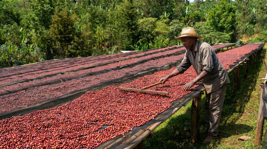 Ethiopia - Natural