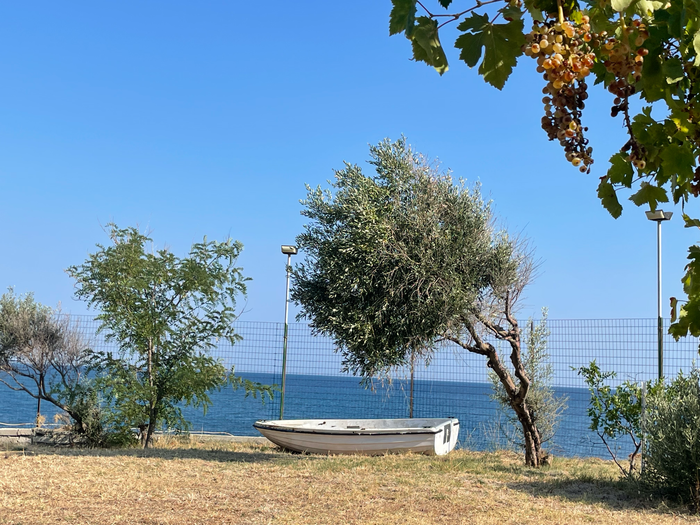 By the sea